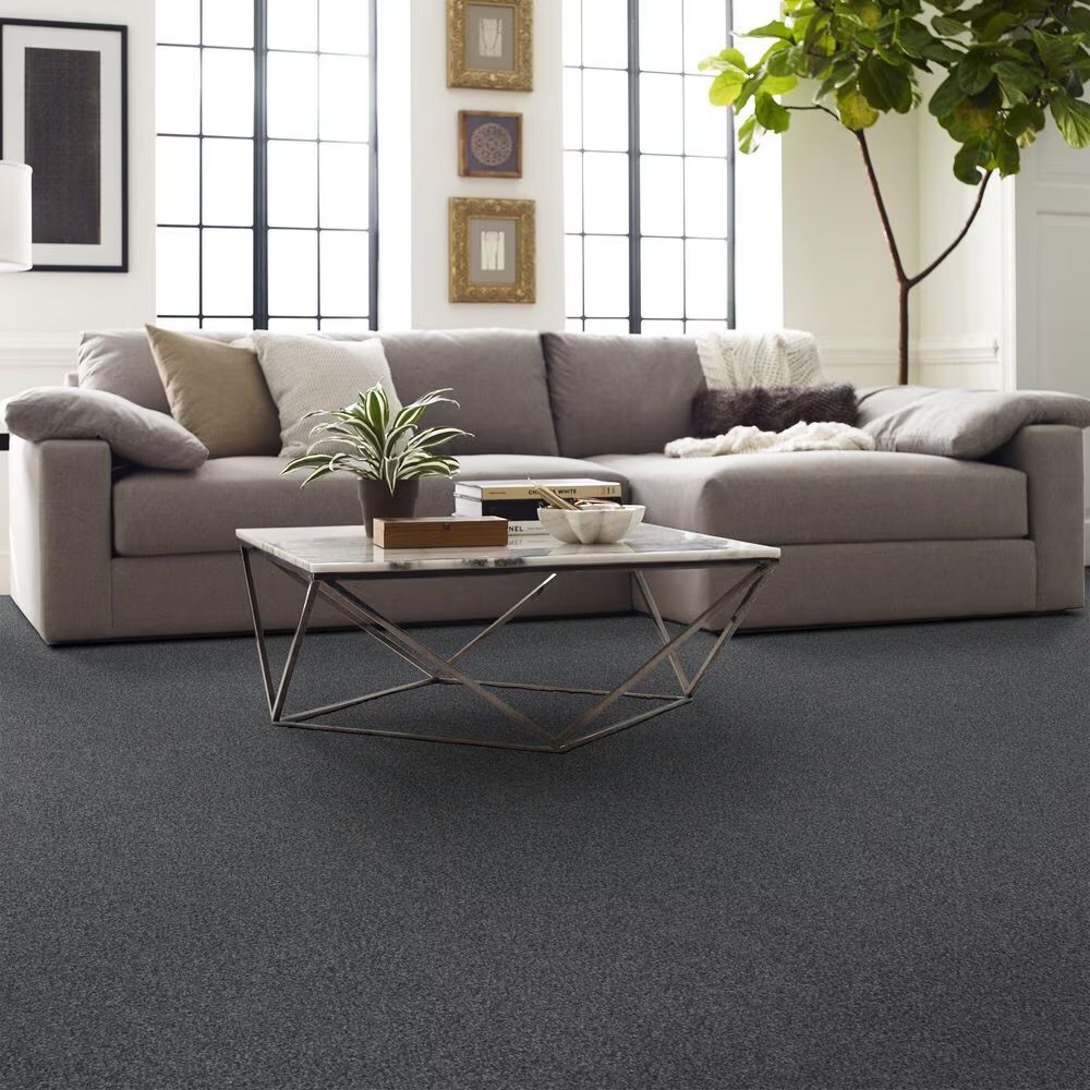 126716-shaw-yes-you-can-i-carpet-in-refined-1.jpg