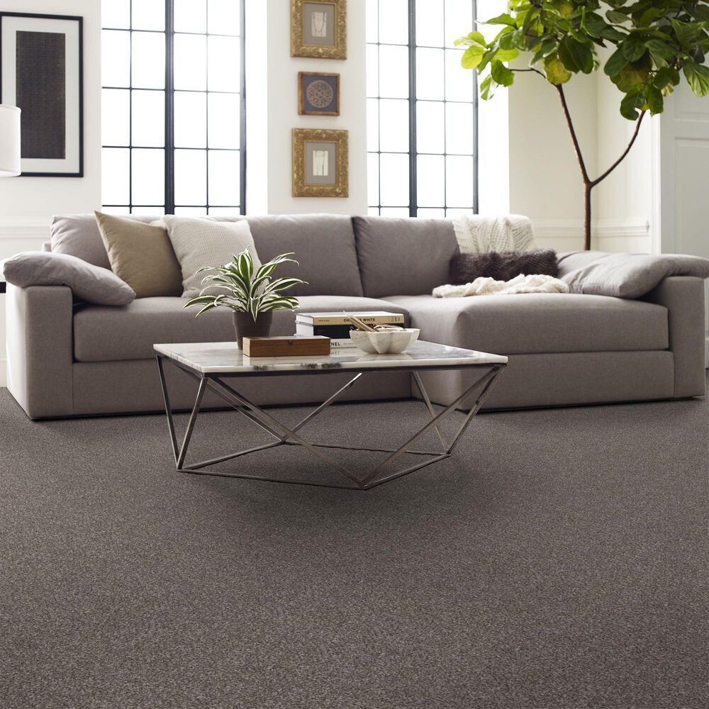 126764-shaw-yes-you-can-i-carpet-in-alaskan-air-1.jpg