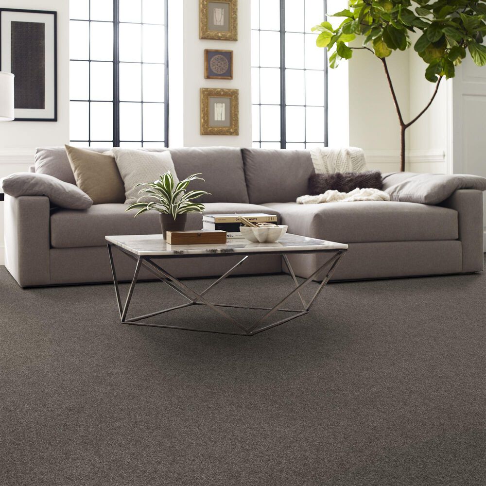 126788-shaw-yes-you-can-i-carpet-in-ashes-1.jpg