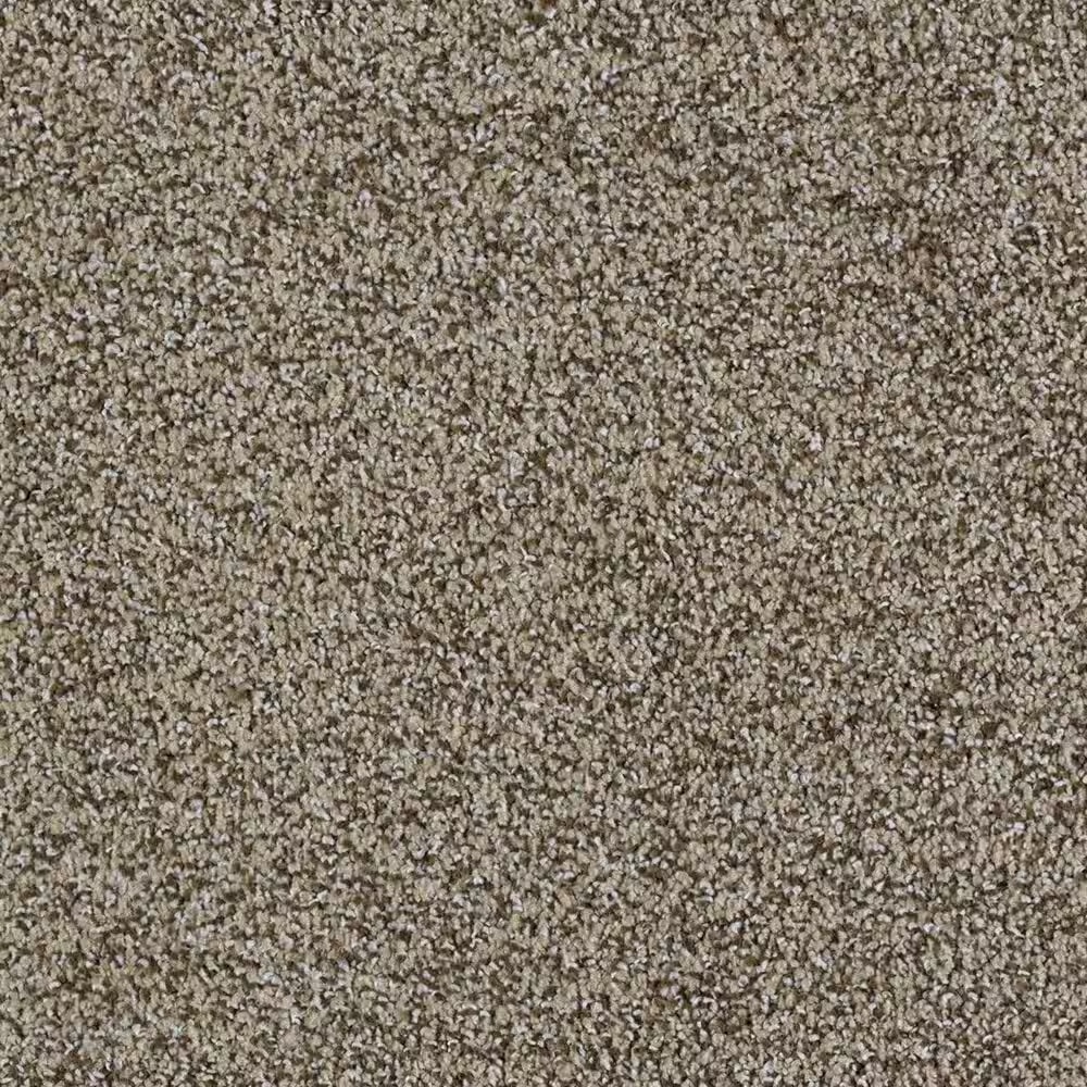 Karastan Serene Scene Carpet in Suede