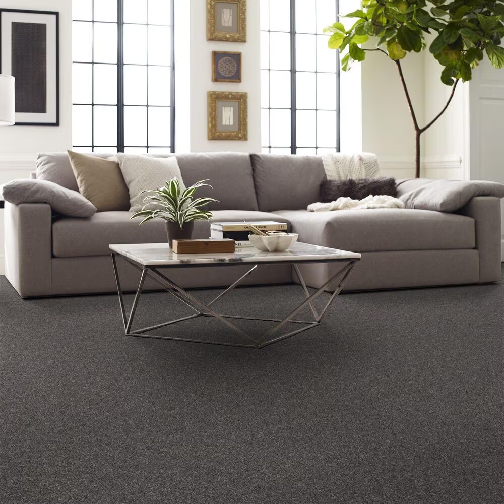 126812-shaw-yes-you-can-i-carpet-in-shadow-1.jpg