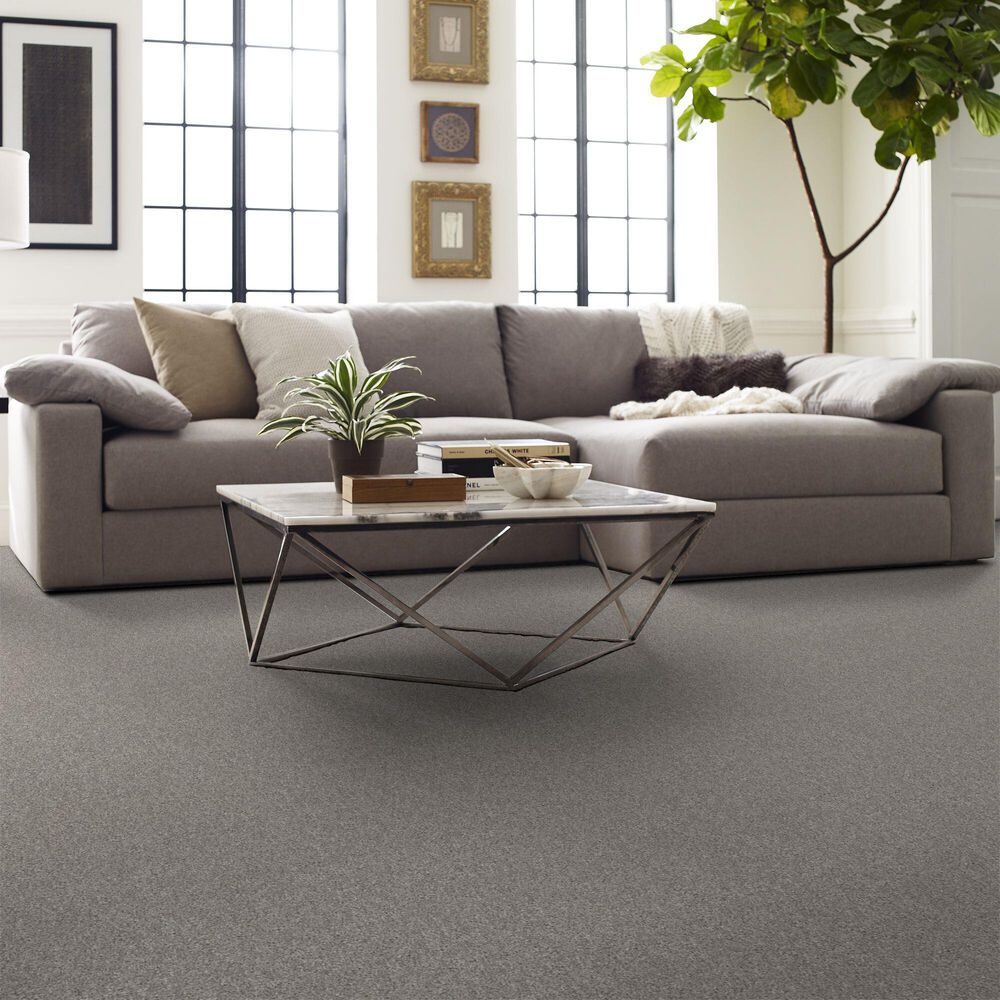 126836-shaw-yes-you-can-i-carpet-in-rock-crystal-1.jpg