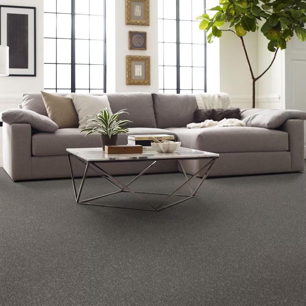 126860-shaw-yes-you-can-i-carpet-in-vintage-1.jpg