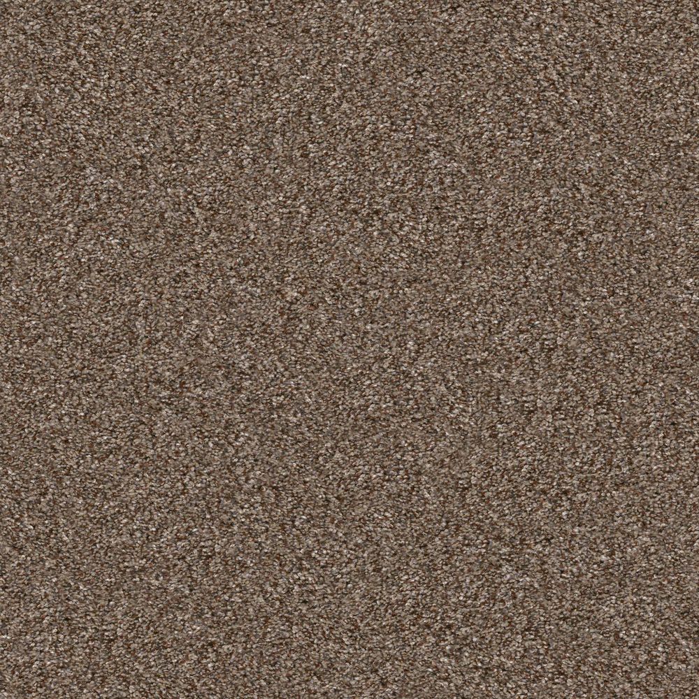 Shaw Yes You Can I Carpet in Worn Path