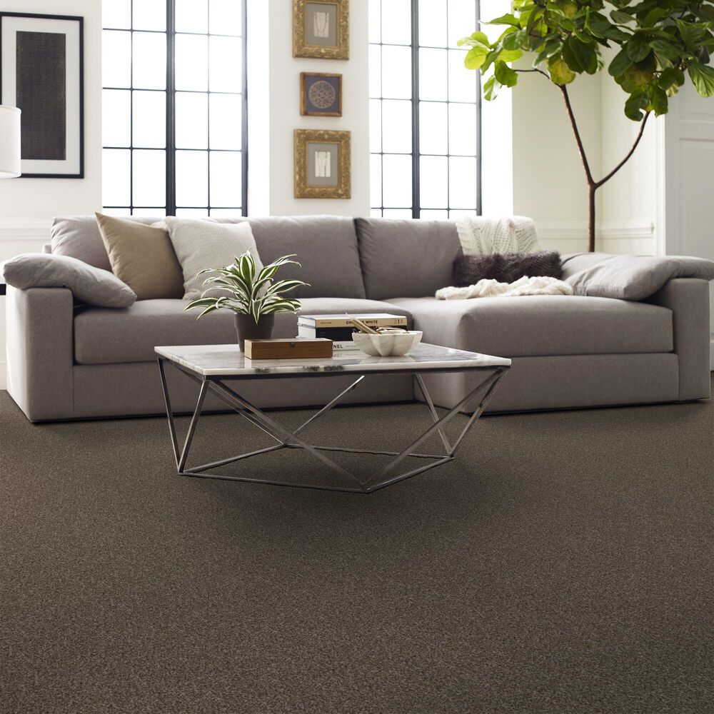 126908-shaw-yes-you-can-i-carpet-in-mission-ridge-1.jpg
