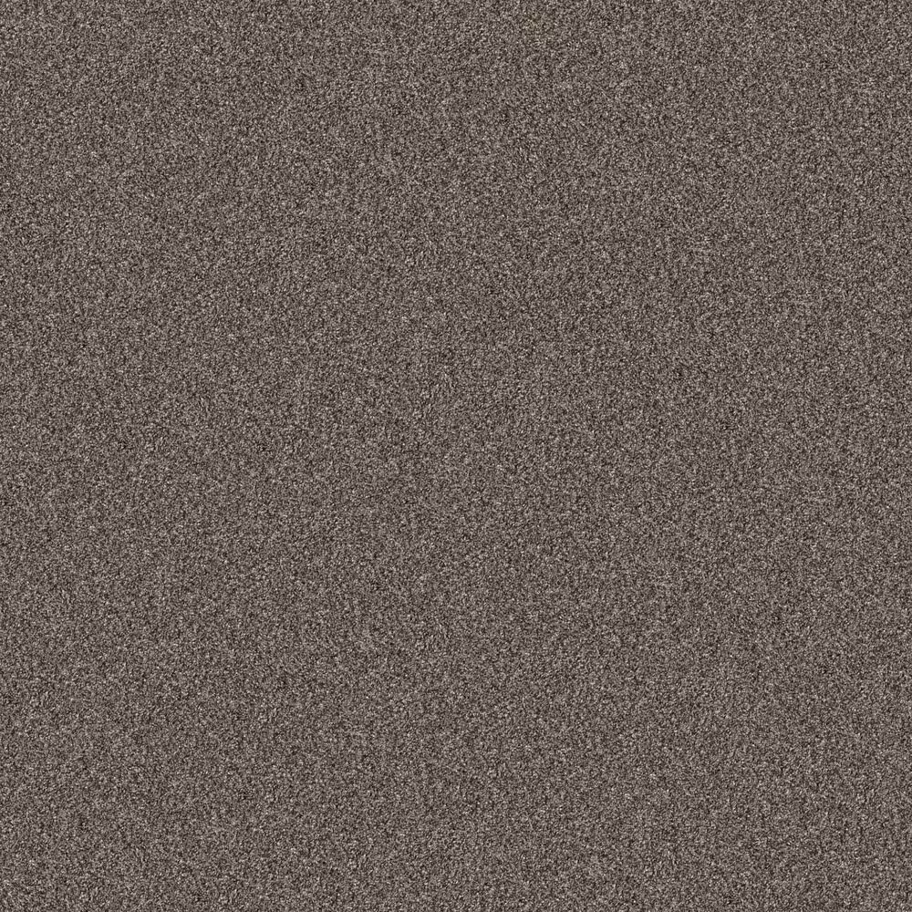 Shaw Yes You Can I Carpet in Urban Rustic