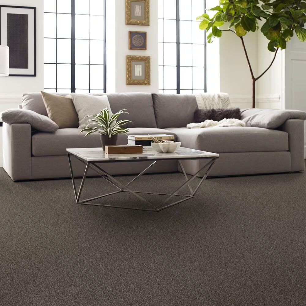 126956-shaw-yes-you-can-i-carpet-in-urban-rustic-1.jpg