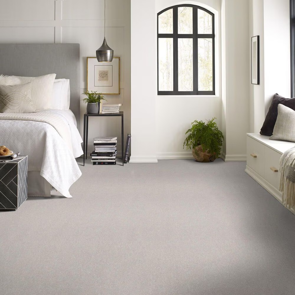 126980-shaw-hard-at-play-i-carpet-in-frozen-1.jpg