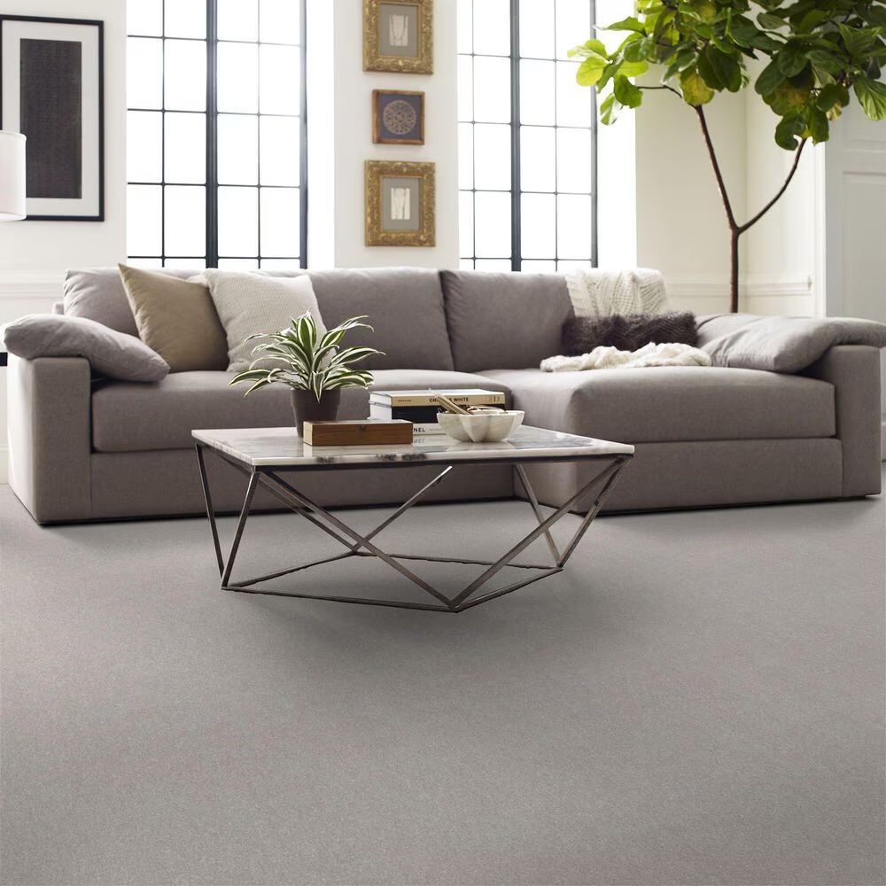 126980-shaw-hard-at-play-i-carpet-in-frozen-1.jpg