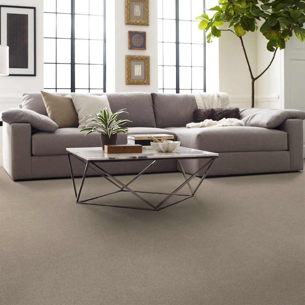 127009-shaw-hard-at-play-i-carpet-in-natural-1.jpg