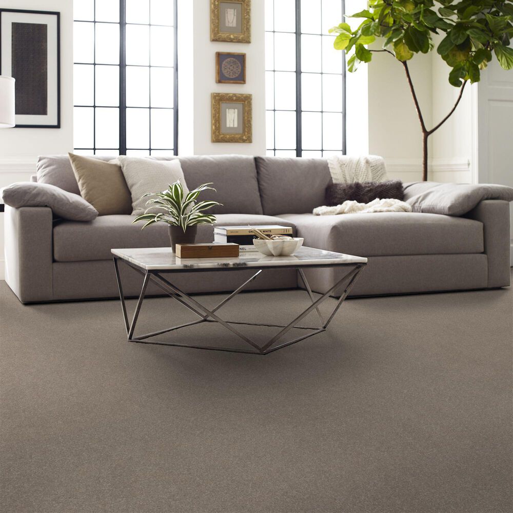 127038-shaw-hard-at-play-i-carpet-in-glacier-1.jpg