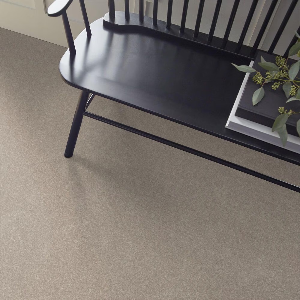 Shaw Hard At Play I Carpet in Soft Sense