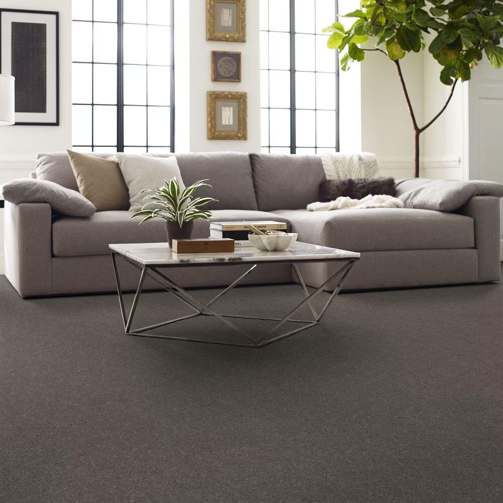 127502-shaw-hard-at-play-i-carpet-in-ashes-1.jpg