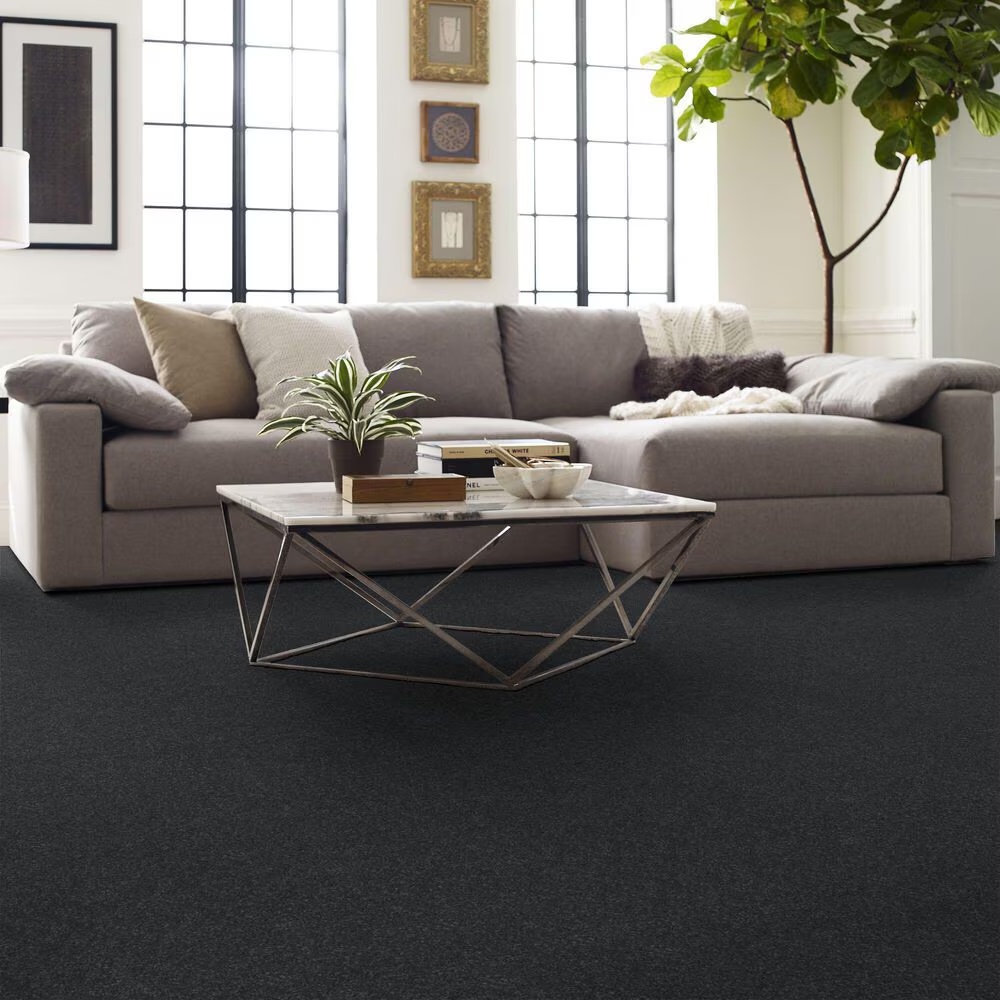 127531-shaw-hard-at-play-i-carpet-in-shadow-1.jpg