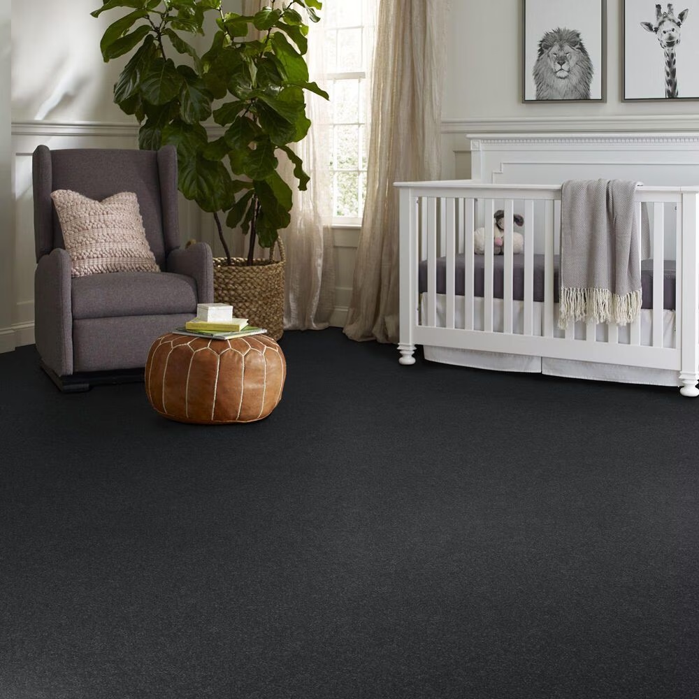 127531-shaw-hard-at-play-i-carpet-in-shadow-1.jpg