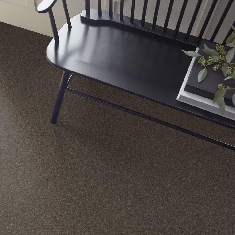 Shaw Hard At Play I Carpet in Urban Rustic