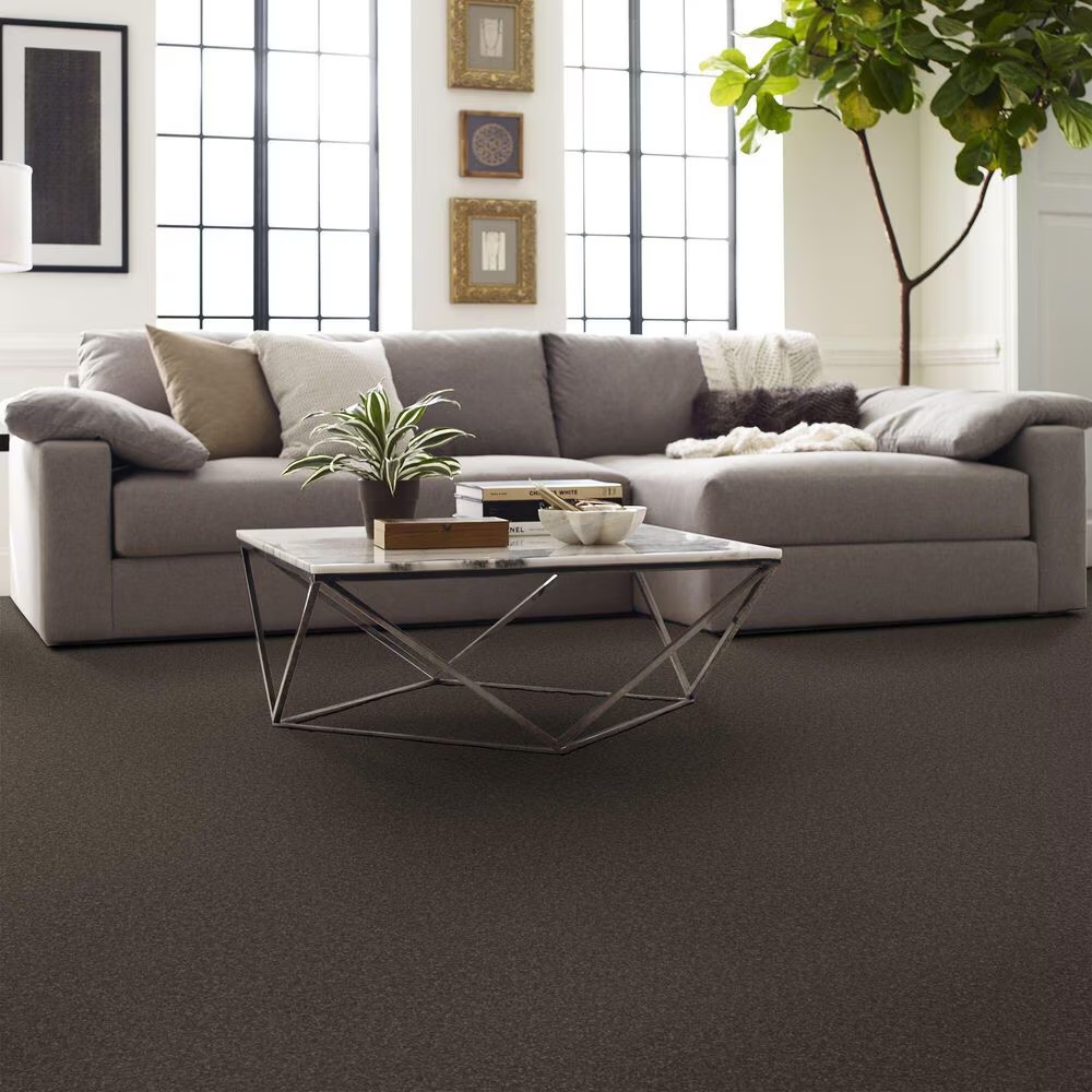 127734-shaw-hard-at-play-i-carpet-in-urban-rustic-1.jpg