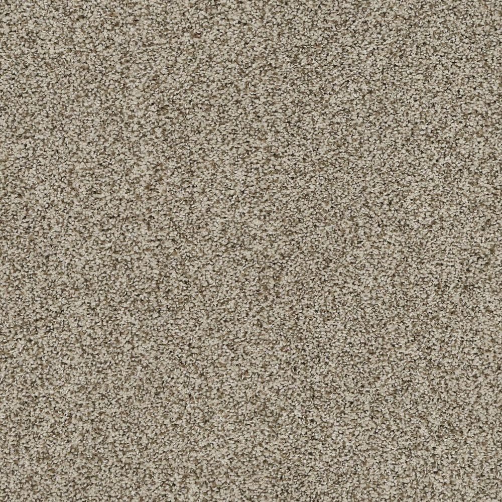 Karastan Stunning Balance Carpet in Cuban Sand
