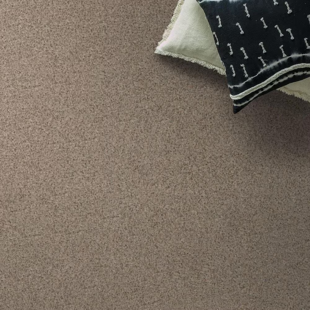 Anderson Tuftex West Peak Carpet in Sheffield