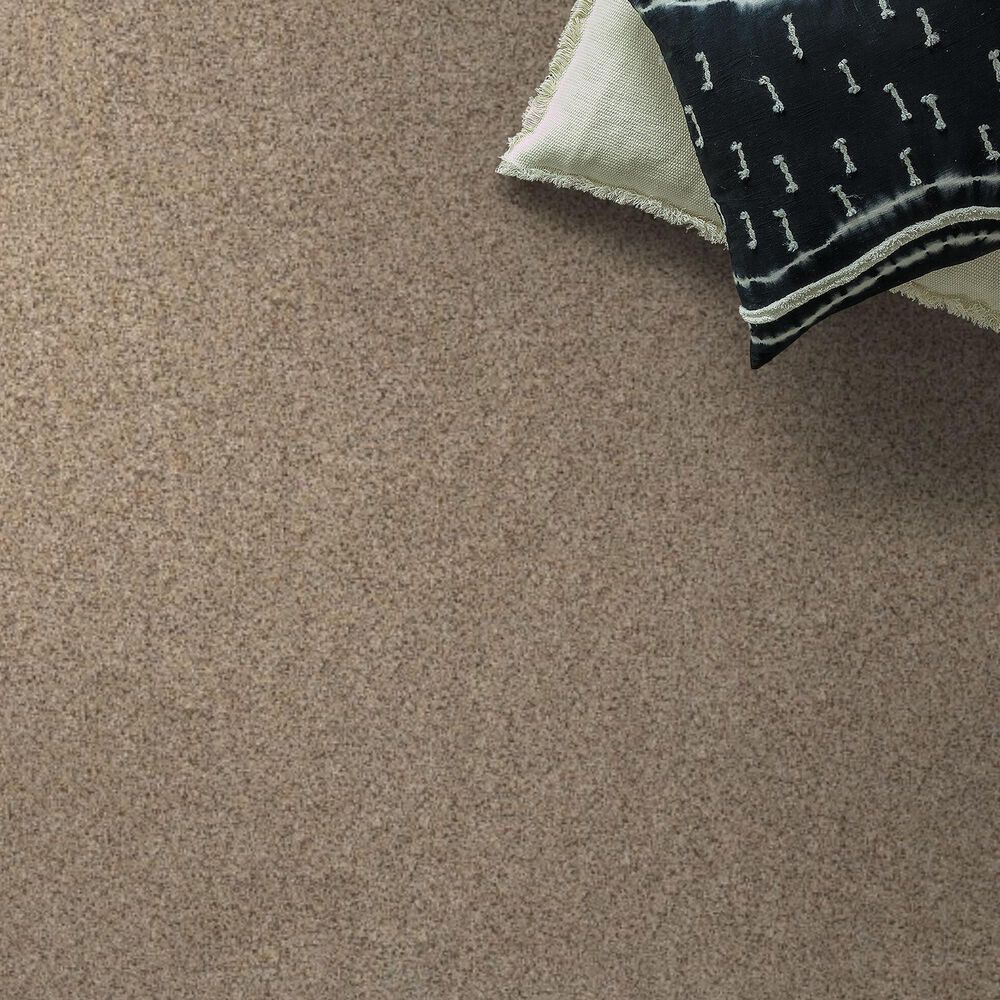Anderson Tuftex West Peak Carpet in Crushed Pearl