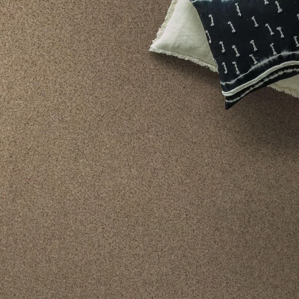 Anderson Tuftex West Peak Carpet in Terrazo