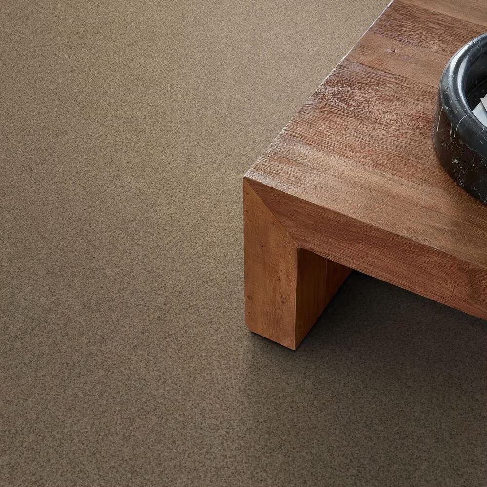 127988-anderson-tuftex-west-peak-carpet-in-terrazo-1.jpg