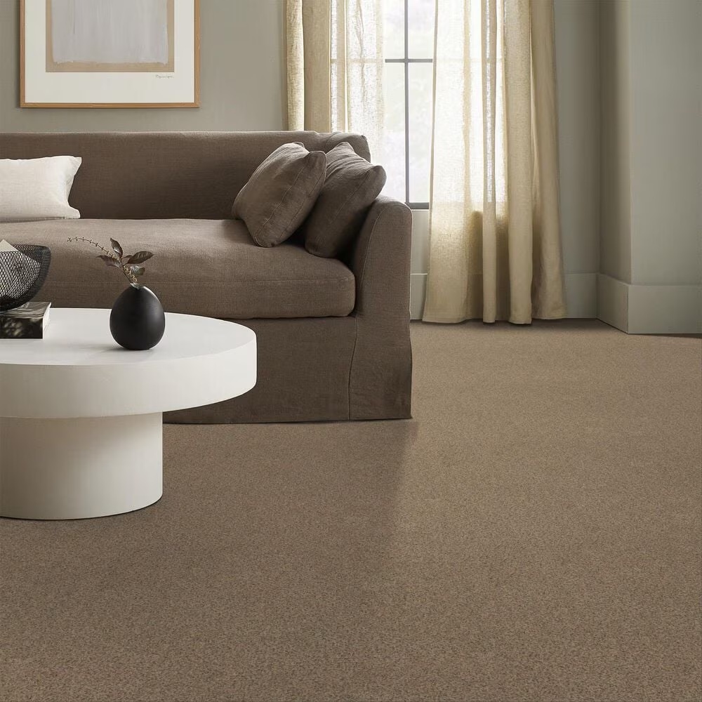 127988-anderson-tuftex-west-peak-carpet-in-terrazo-1.jpg