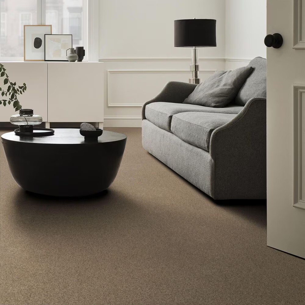 127988-anderson-tuftex-west-peak-carpet-in-terrazo-1.jpg