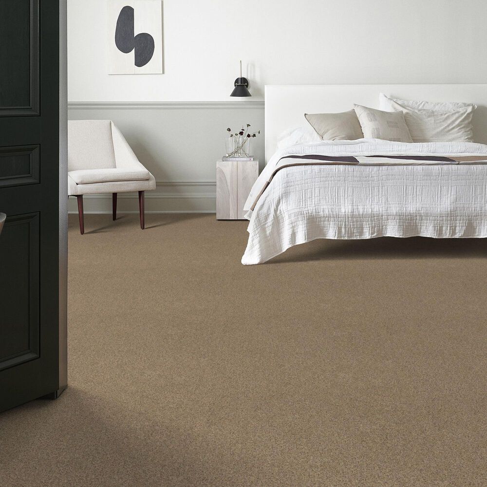 127988-anderson-tuftex-west-peak-carpet-in-terrazo-1.jpg