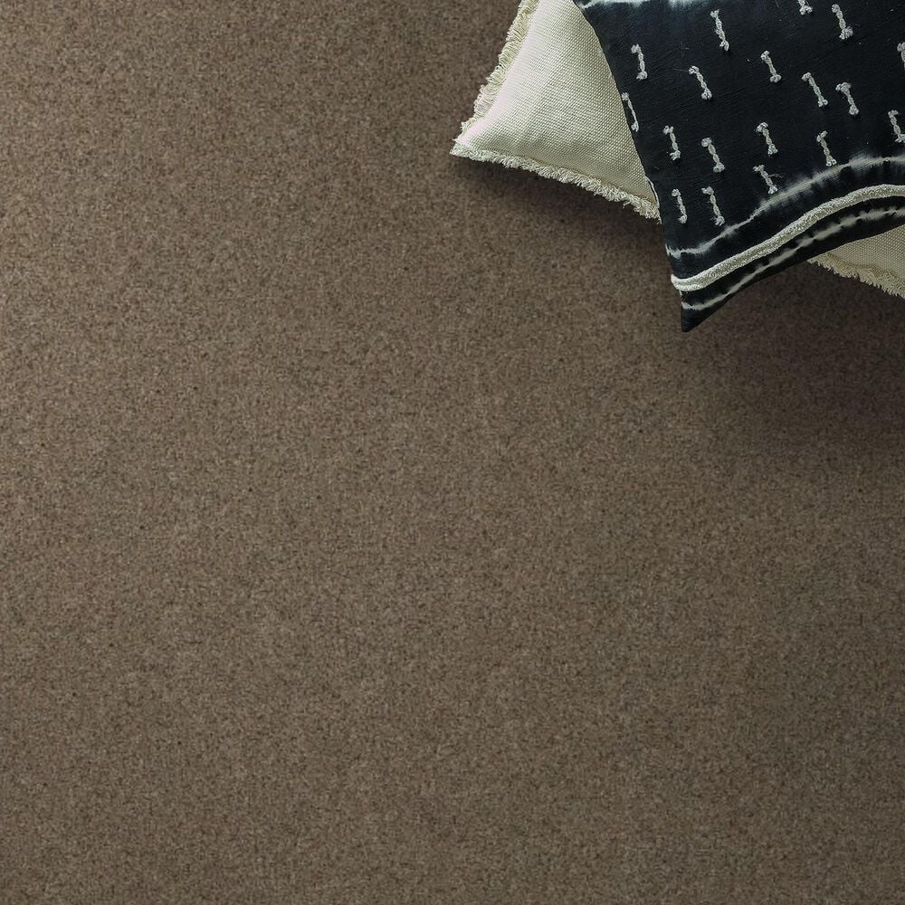 Anderson Tuftex West Peak Carpet in Morning Blend