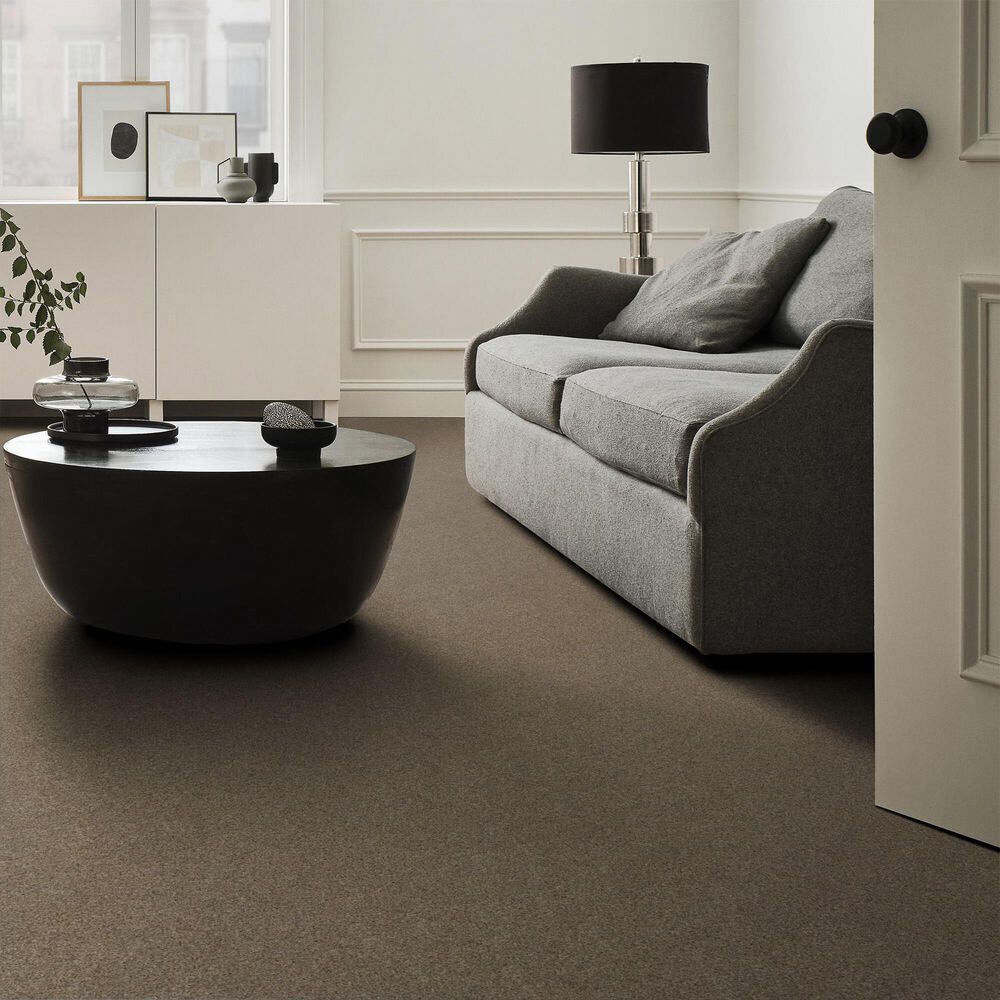 128001-anderson-tuftex-west-peak-carpet-in-morning-blend-1.jpg