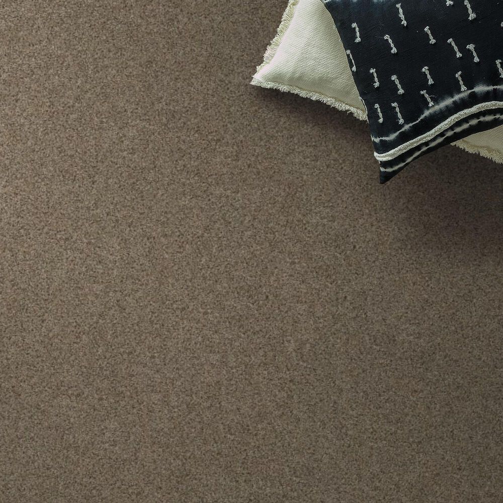 Anderson Tuftex West Peak Carpet in Oxford
