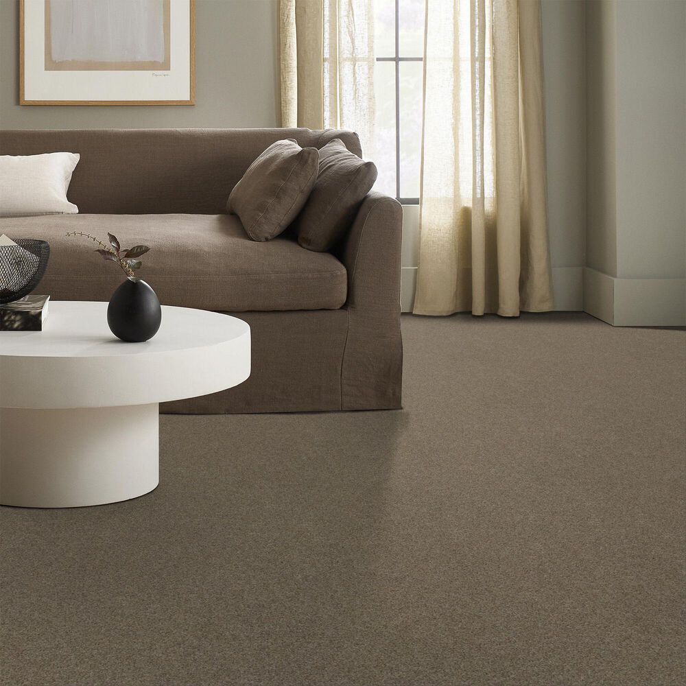 128014-anderson-tuftex-west-peak-carpet-in-oxford-1.jpg