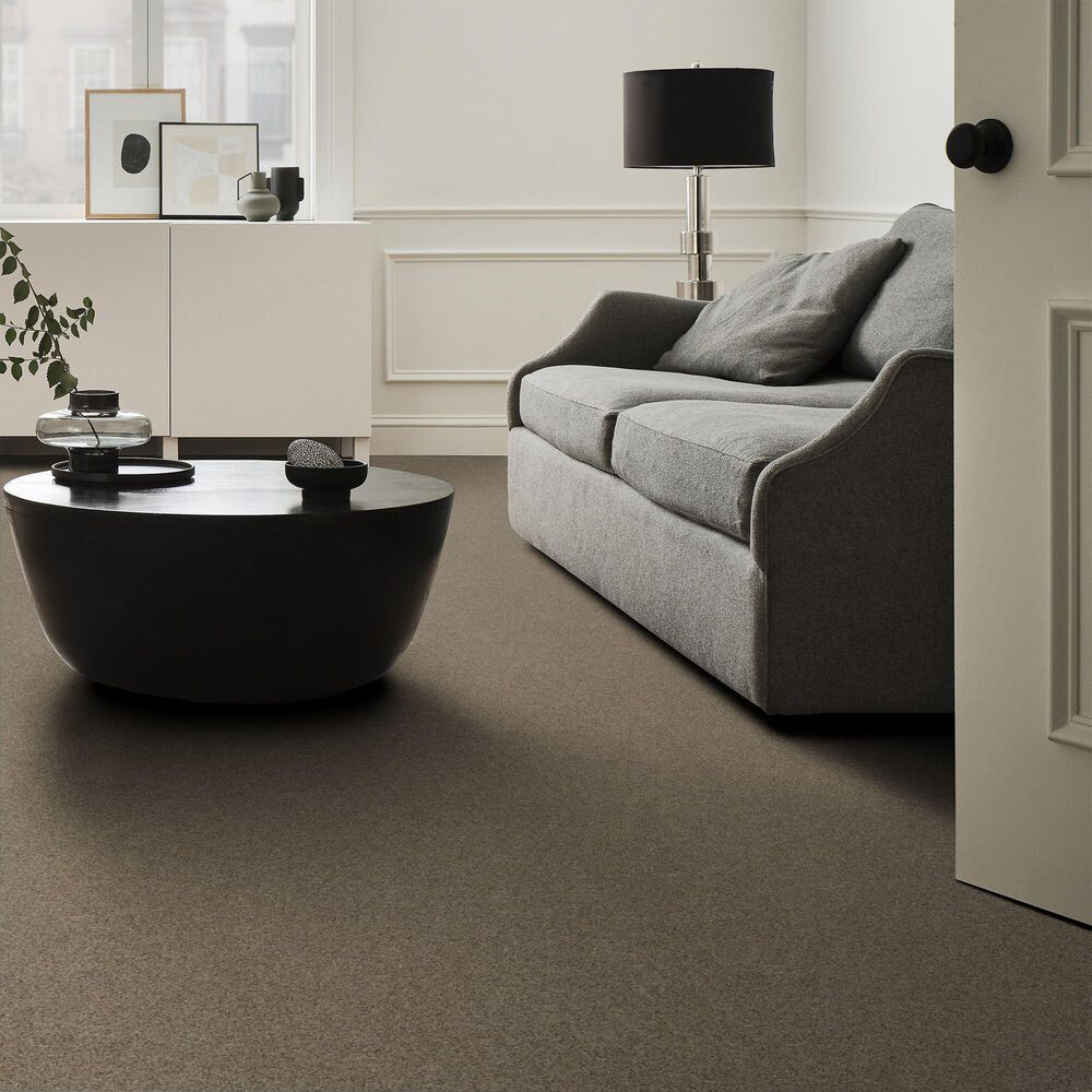 128014-anderson-tuftex-west-peak-carpet-in-oxford-1.jpg