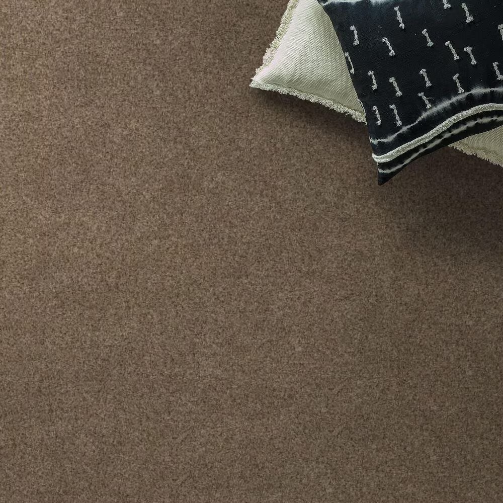 Anderson Tuftex West Peak Carpet in Stone Age