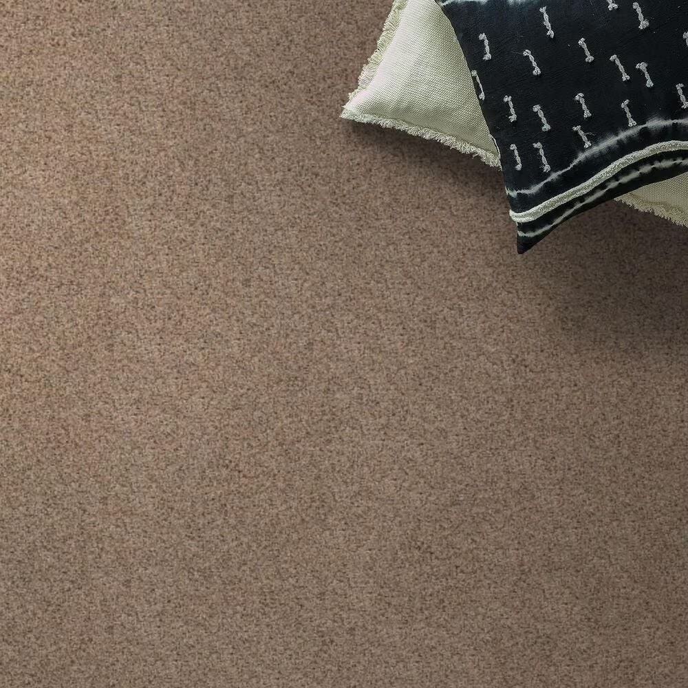 Anderson Tuftex West Peak Carpet in Basic Tan