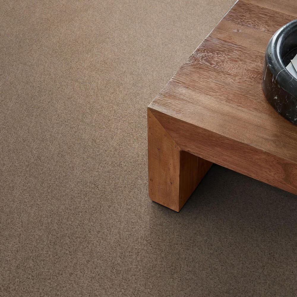128040-anderson-tuftex-west-peak-carpet-in-basic-tan-1.jpg