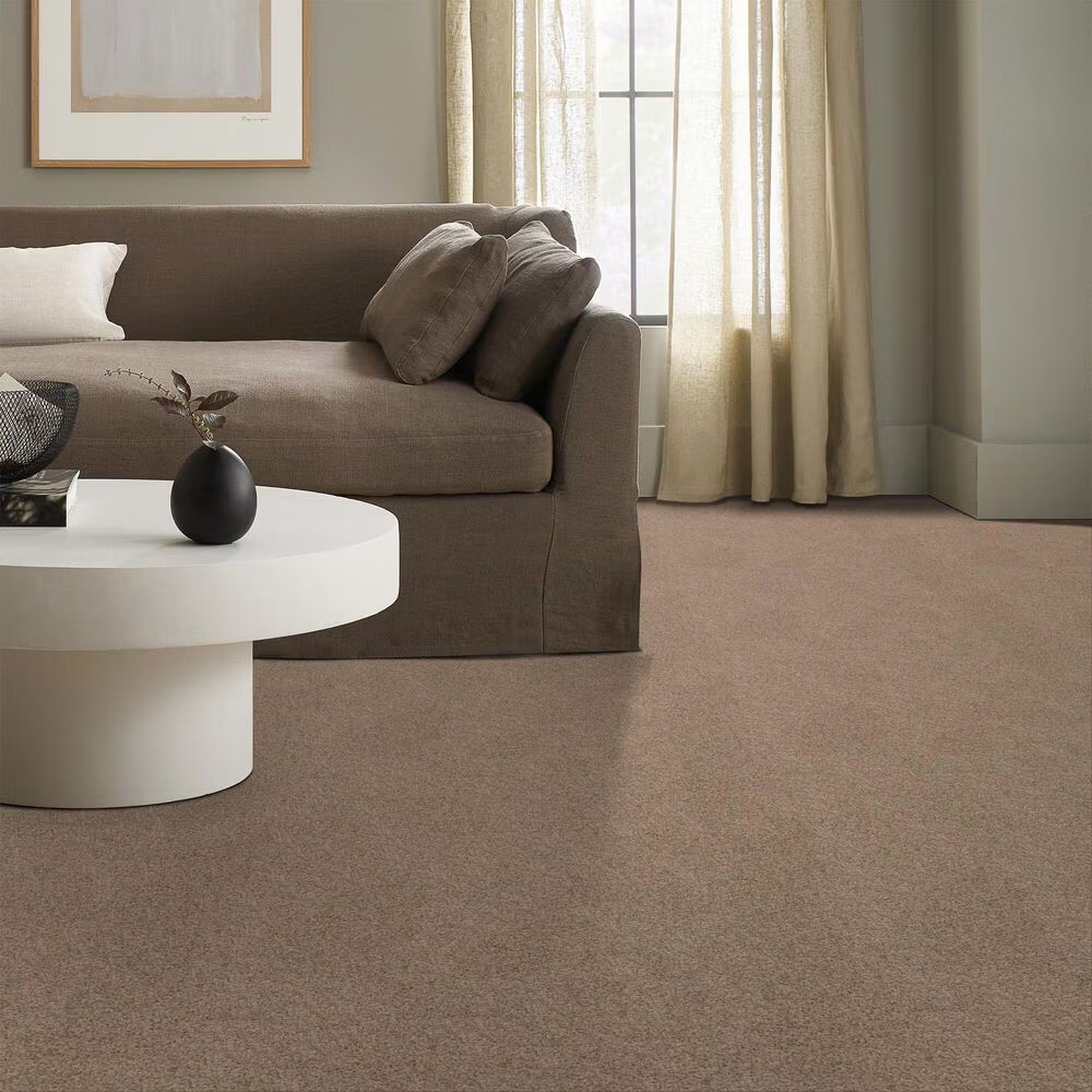 128040-anderson-tuftex-west-peak-carpet-in-basic-tan-1.jpg