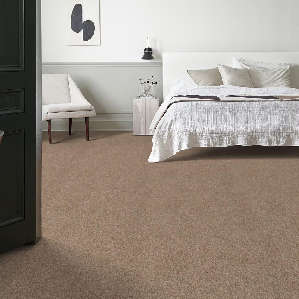 128040-anderson-tuftex-west-peak-carpet-in-basic-tan-1.jpg