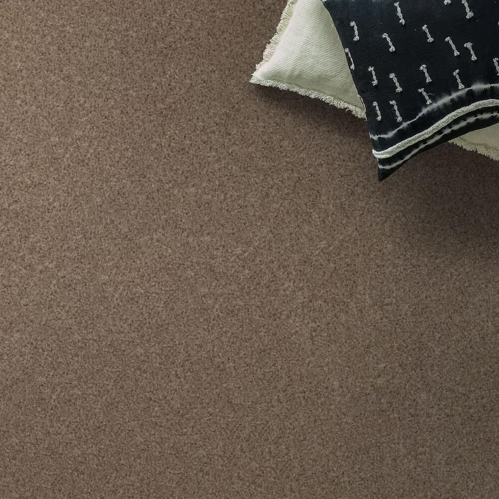 Anderson Tuftex West Peak Carpet in Bungalow