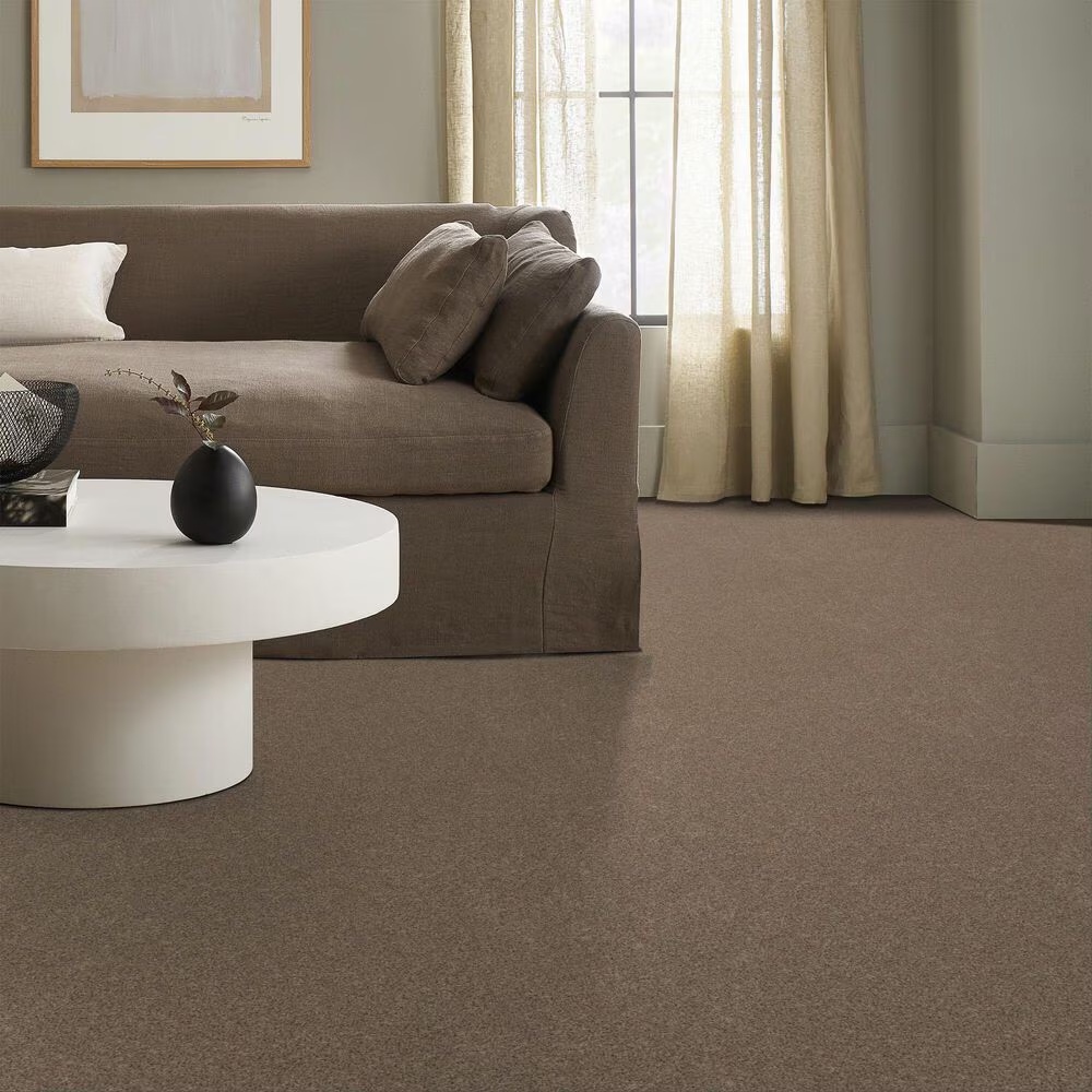 128053-anderson-tuftex-west-peak-carpet-in-bungalow-1.jpg