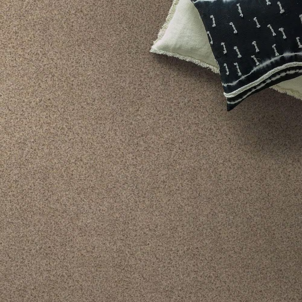 Anderson Tuftex West Peak Carpet in Dogwood