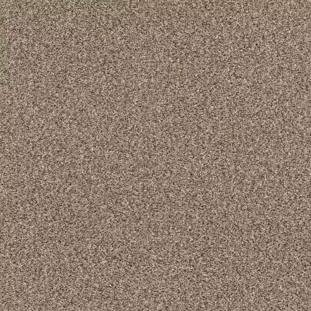 Shaw Yes You Can II Carpet in Sea Shell