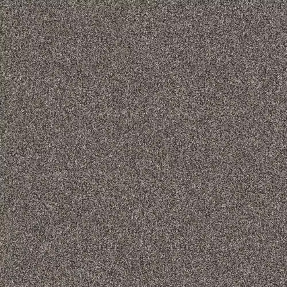 Shaw Yes You Can II Carpet in Marble
