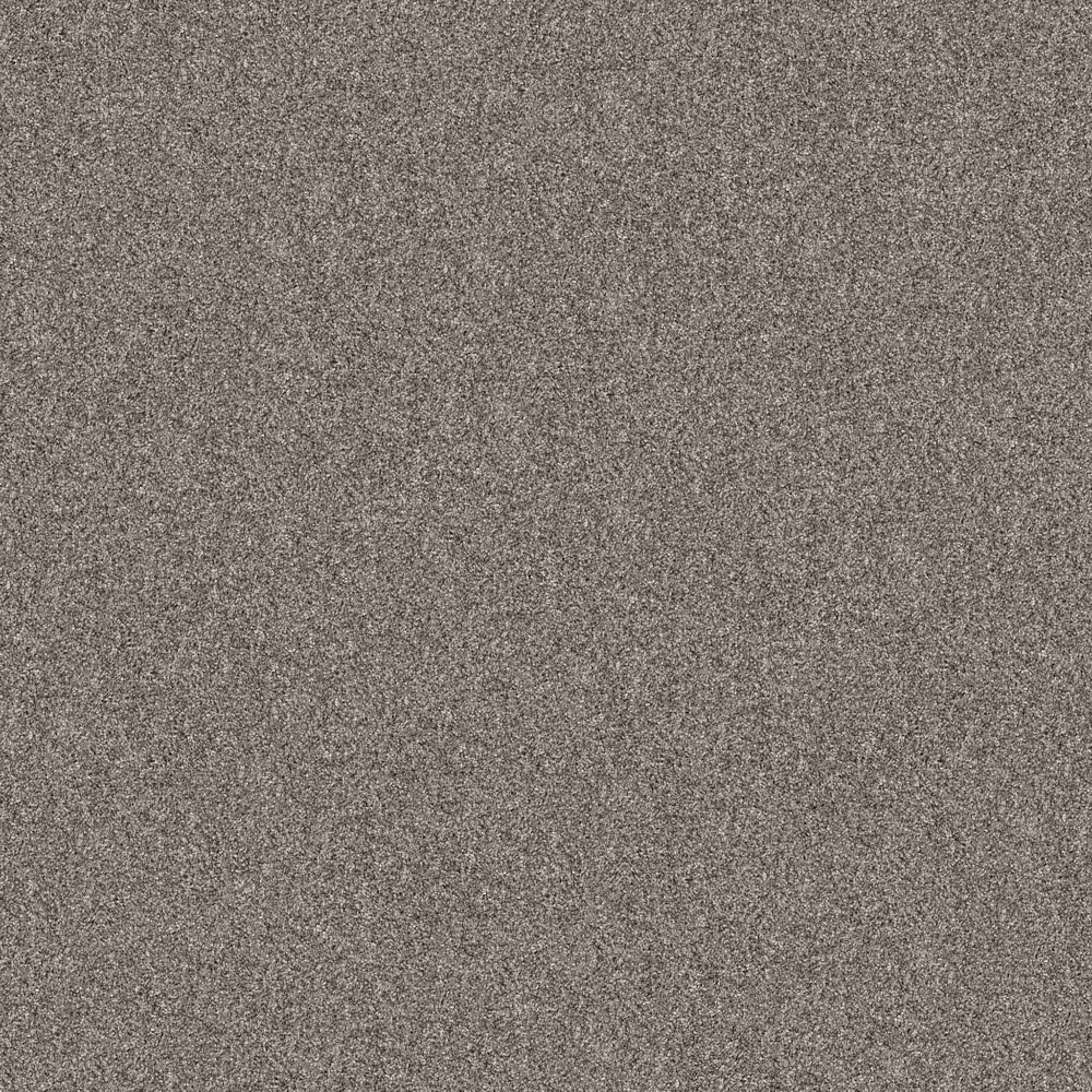 Shaw Yes You Can II Carpet in Chic Greige