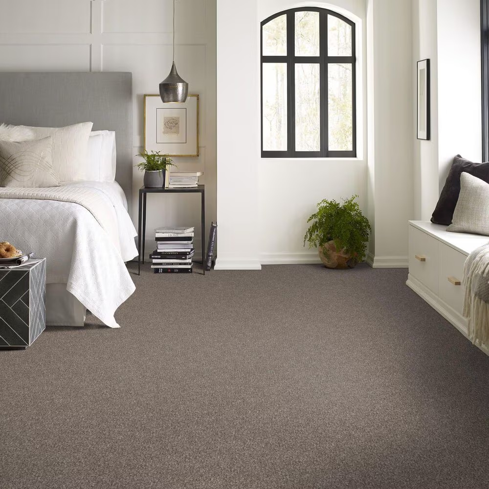 128263-shaw-yes-you-can-ii-carpet-in-soft-sense-1.jpg