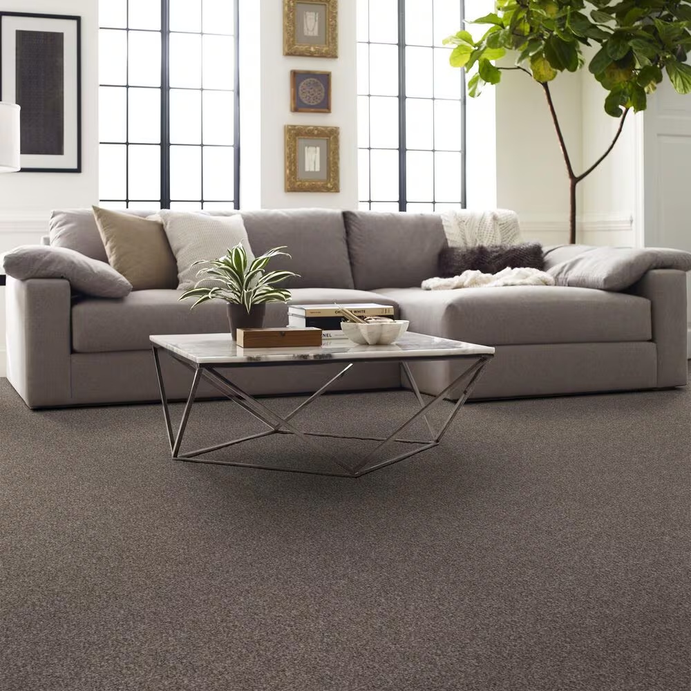 128263-shaw-yes-you-can-ii-carpet-in-soft-sense-1.jpg
