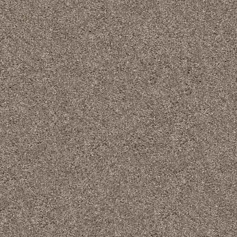 Shaw Yes You Can II Carpet in Cameo