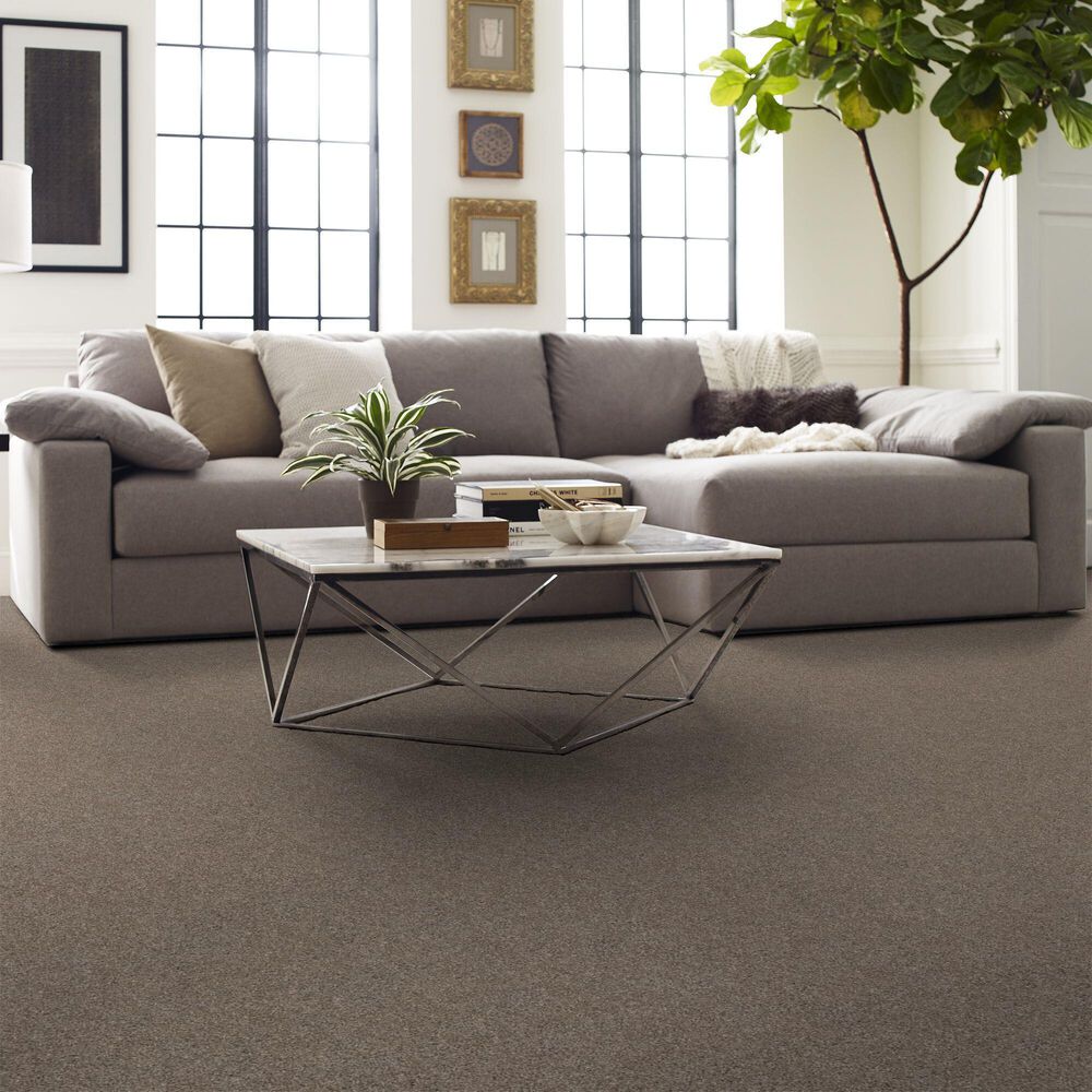 128287-shaw-yes-you-can-ii-carpet-in-cameo-1.jpg