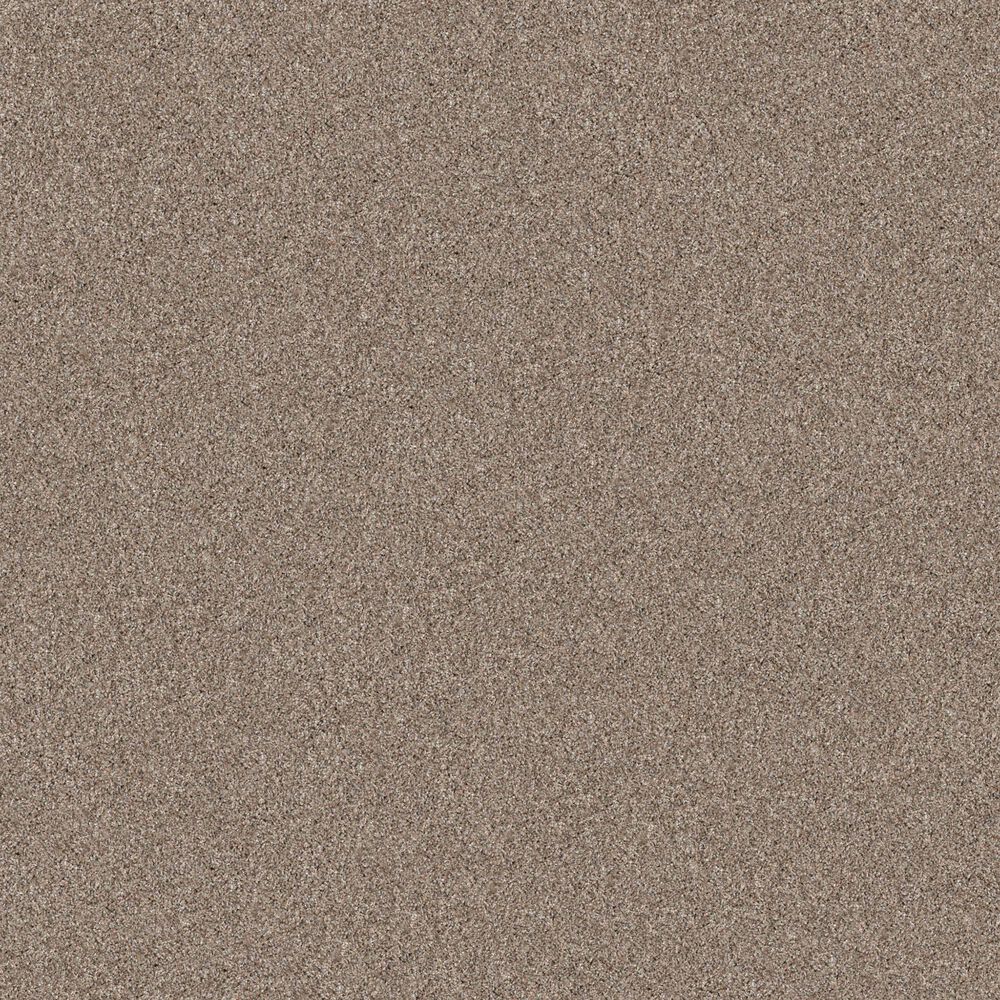 Shaw Yes You Can II Carpet in Subtle Clay